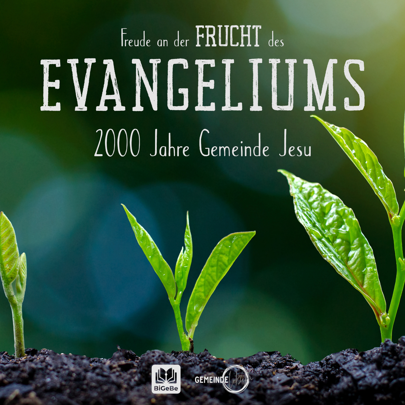 08 - Die frühen Kirchenväter - Freude an der Frucht des Evangeliums episode artwork