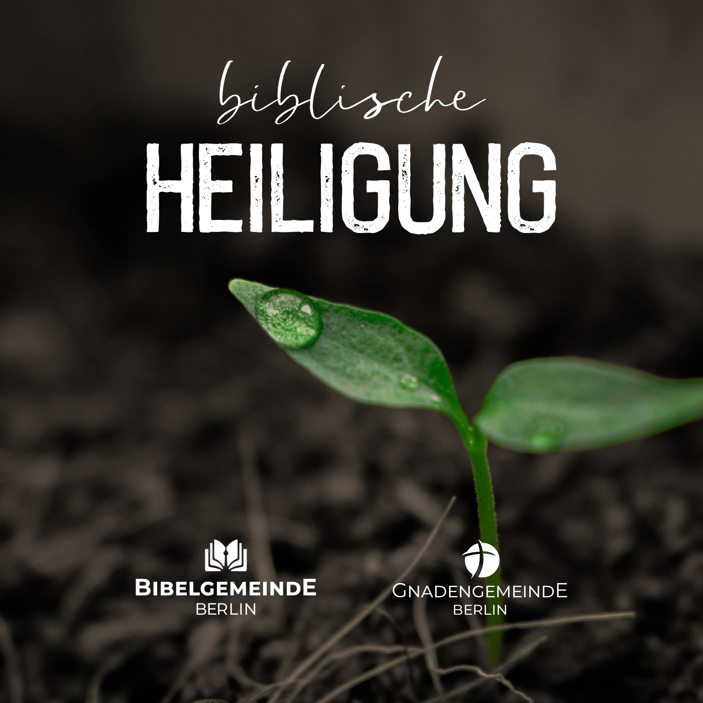 01 - Geschichte der Heiligung - Biblische Heiligung episode artwork