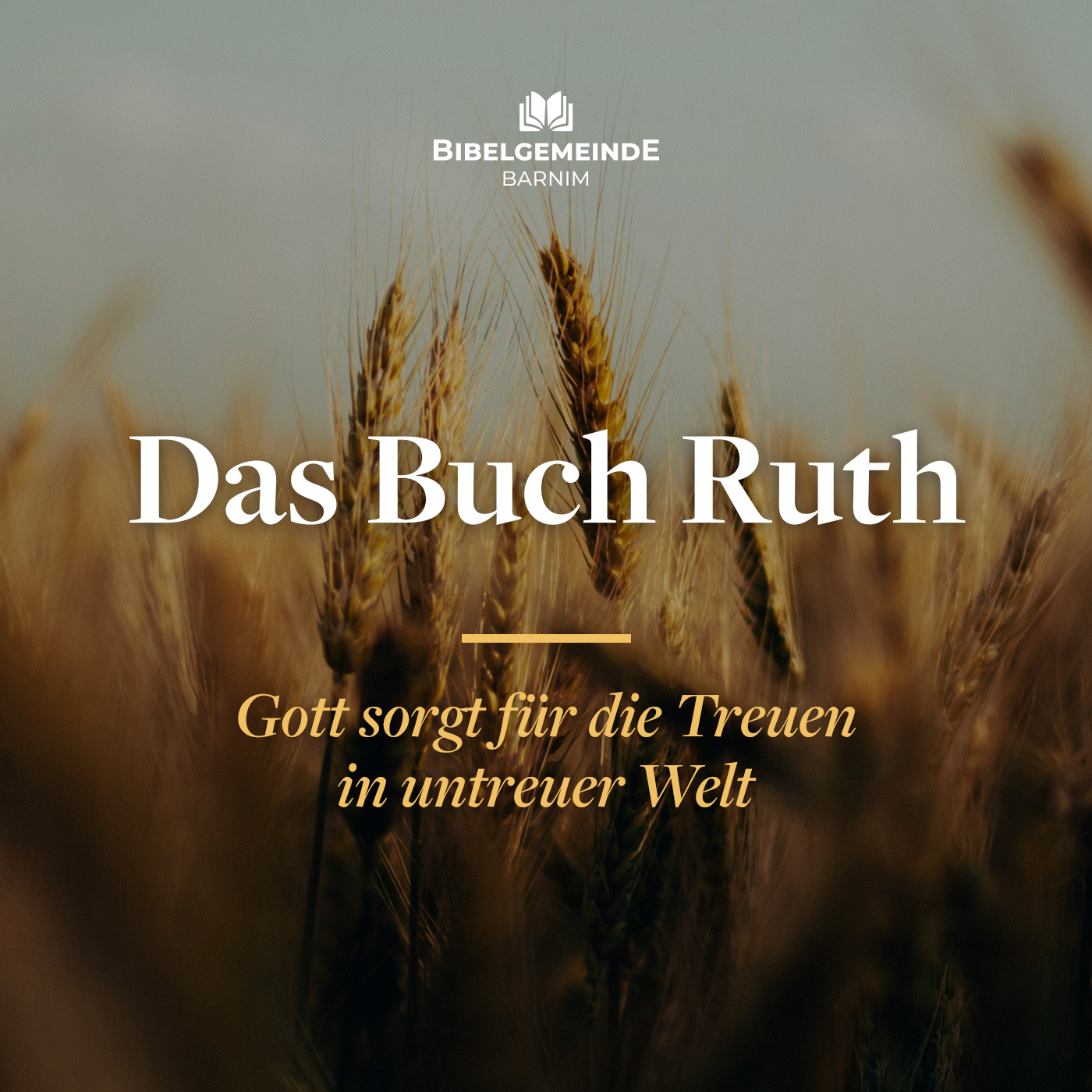 02 - Treue in der Tragödie - Das Buch Ruth episode artwork