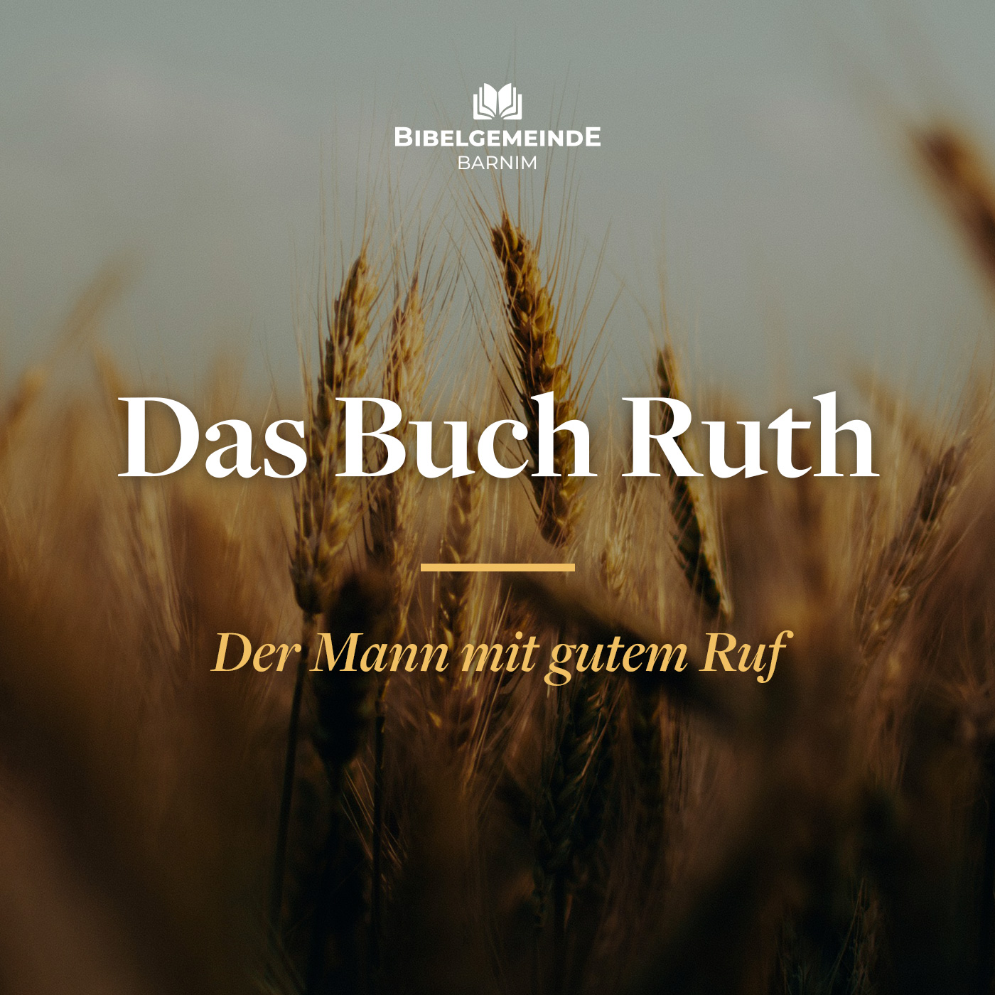 06 - Der Mann mit gutem Ruf - Das Buch Ruth episode artwork