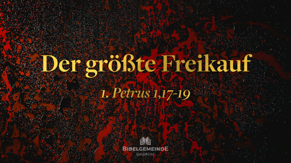Der größte Freikauf Image