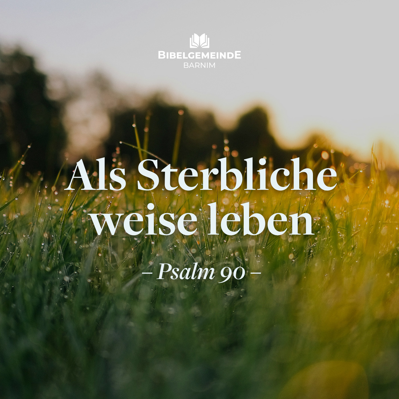 Als Sterbliche weise leben - Weitere Predigten episode artwork