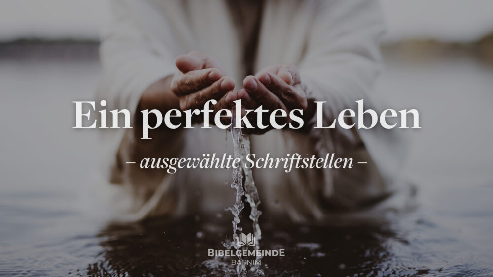 Ein perfektes Leben - Teil 2
