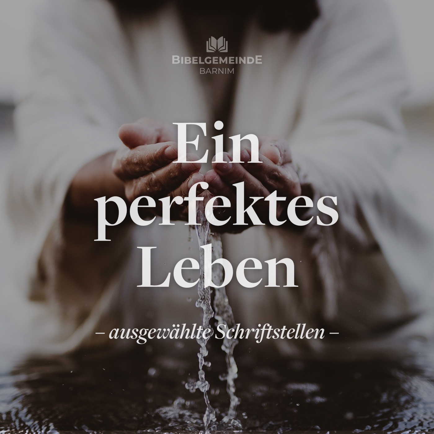 Ein perfektes Leben - Teil 1 - Weitere Predigten episode artwork